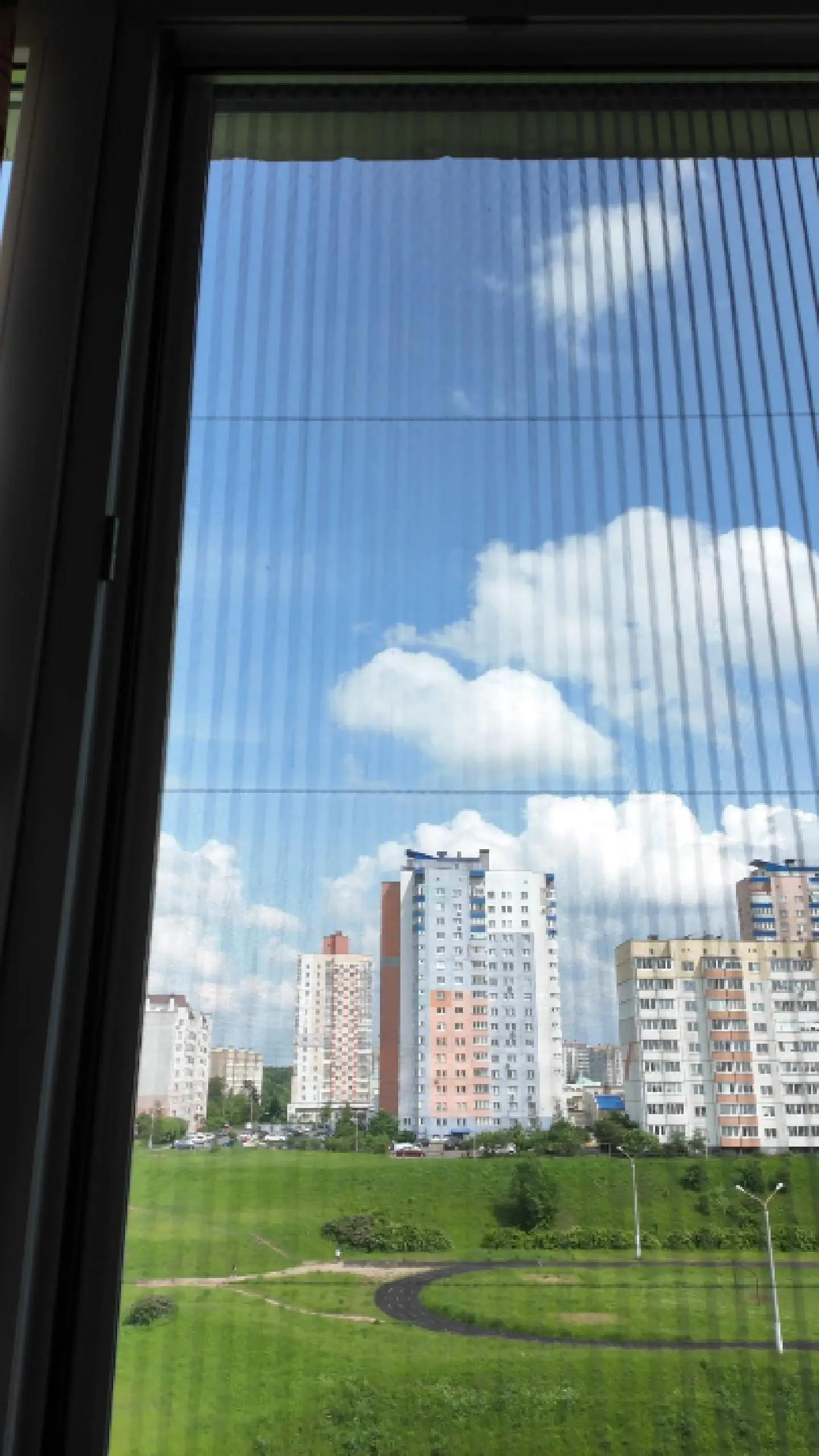 Москитная сетка плиссе на балконной раме в Сухарево